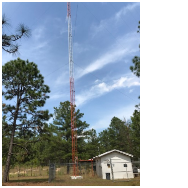 WNDDTowerPine